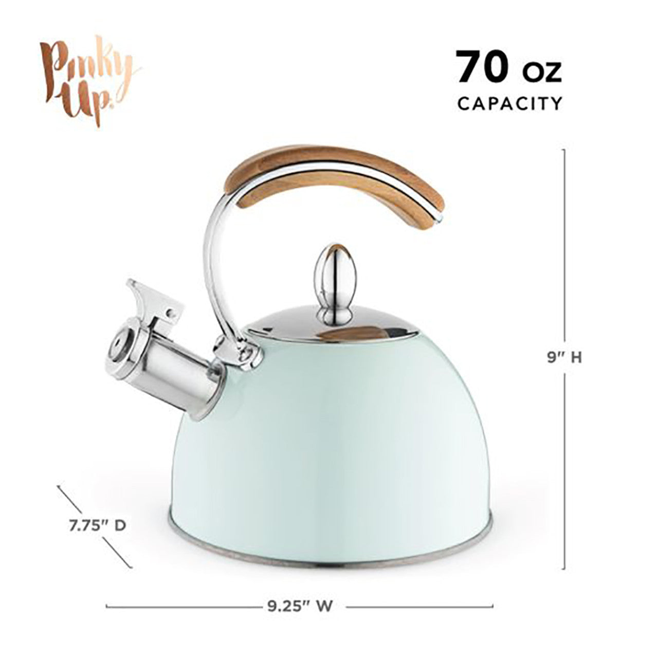 Presley Pistachio Kettle 70fl oz
