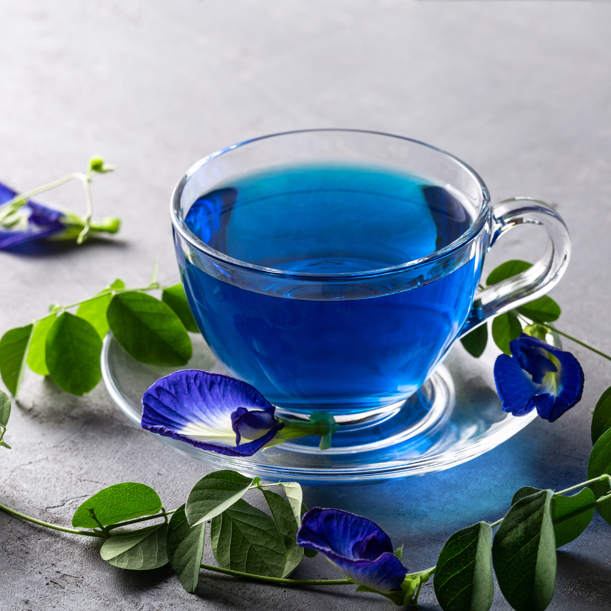 A clear glass teacup and saucer filled with vivid blue liquid, styled with green leaves and purple butterfly pea flowers on a light gray surface.