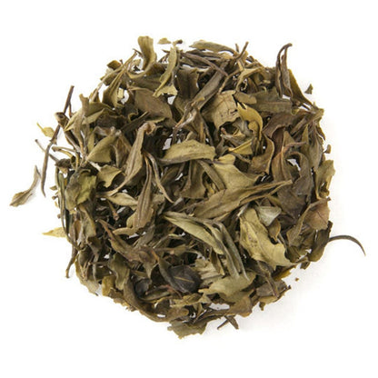 Darjeeling White Tips White Tea  - Loose Leaf - Image 1