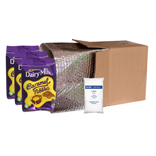 Small Insulated Shipping Liner With Cold Gel Pack - 10" x 10" x 10" - For Larger Bags of Candy & Cookies - Image 1