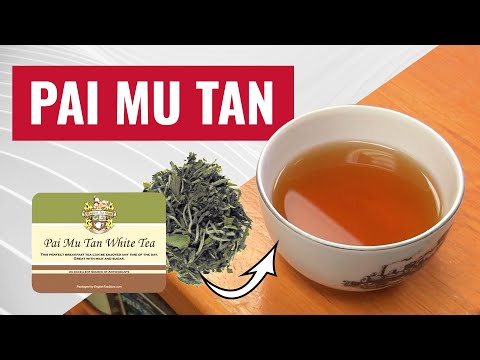 Pai Mu Tan White Tea  - Loose Leaf
