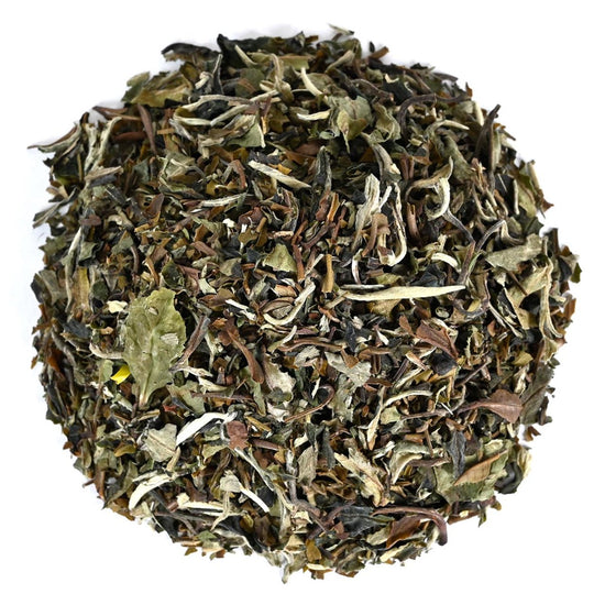 Pai Mu Tan White Tea  - Loose Leaf - Image 2