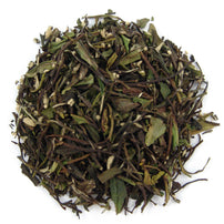 Oasis Mango White Tea  - Loose Leaf