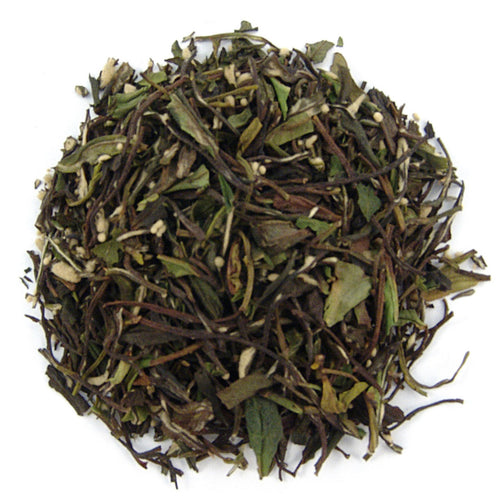Oasis Mango White Tea  - Loose Leaf