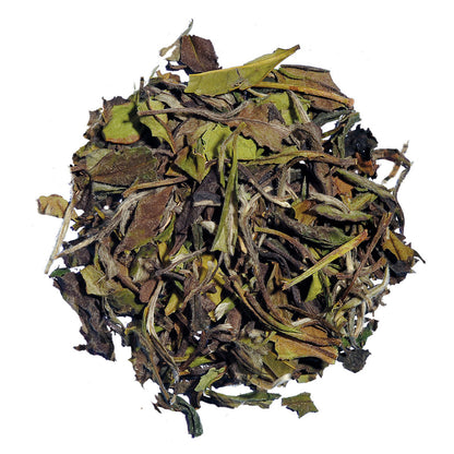 Organic Pai Mu Tan White Tea - Loose Leaf Pouches - 2oz - Image 1
